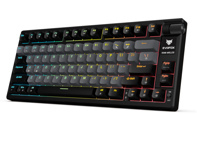 EvoFox Ronin Wireless Mechanical Keyboard with RGB Backlight and 9-Layer Gasket Design – Best Gaming Keyboard 2026